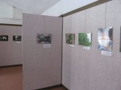 Vodaziva1